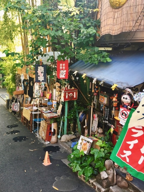 tokyogems:  猫のお店。  found a cat shop in nezu. 