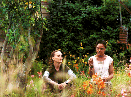 cinematv: Top 10 Favorite Movies ➞ Shay (@dianaxprince) ↳ #1 ANNIHILATION   dir.