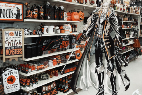 aquilaofarkham: alucard at the michaels halloween display what will he buy