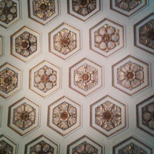 #obsessedwithceilings#neoclassical #derbyshire#chatsworth#wandering