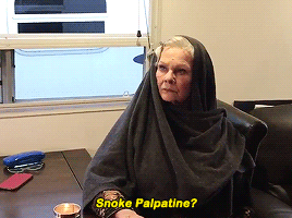 georgeorwell:thelastjedi:+#i cant believe dame judi dench said ‘reylo’
