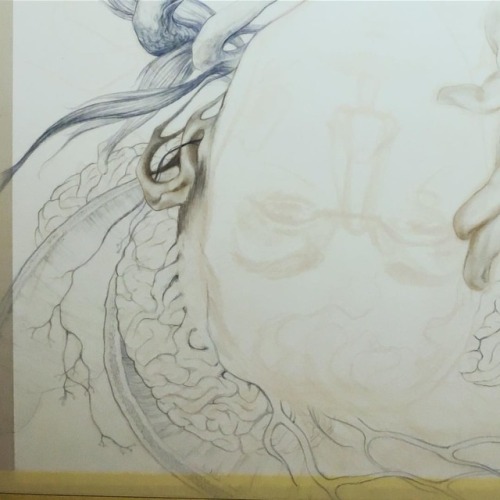 Linger. Progress… ______________________________ #art #artwip #drawing #detail #brains #beaut