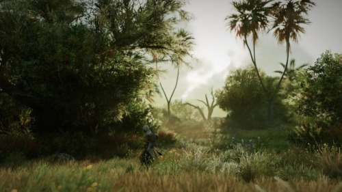 Assassin’s Creed OriginsPC versionscreenshot from my flicker camera roll