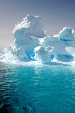 senerii:  05 Antarctica (1043) by wgbekkema