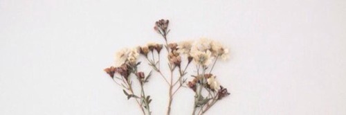 • like/reblog if you save or use anything!• please give credit here and don’t steal