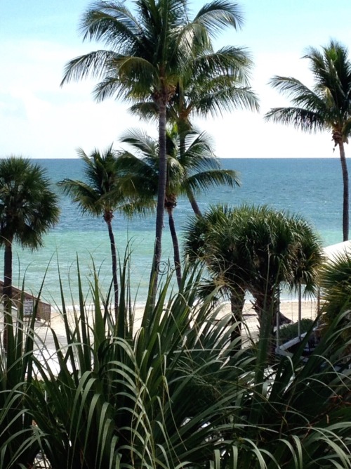 my-sea-of-time: Key West, Florida. Soon!!