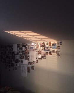 sombering:my room at my favorite time of day  (July 2015)