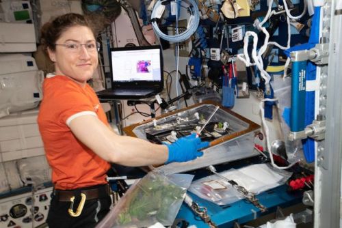 Today, NASA announced which astronauts will be traveling to and from the International Space Station