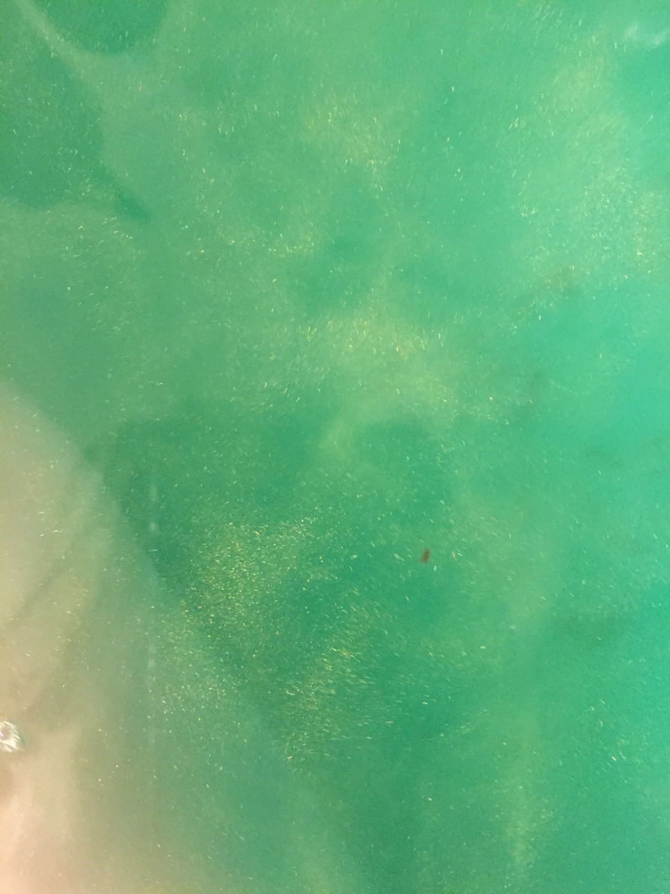eyelovecats:  This is what a mermaid bath looks like