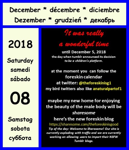 myforeskincalendar:I wish all my followers a nice December 8thanyway. This will probably be one of m