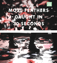 missilekid:  On December 2nd, Paramore set out to break the most world records in a music video.