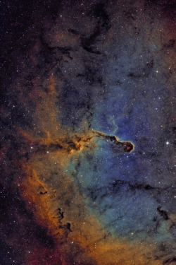 lsleofskye:  Elephant’s Trunk Nebula