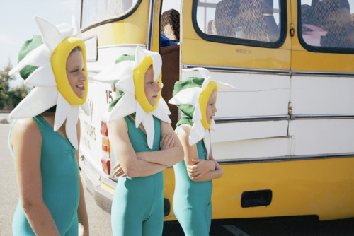 nitramar:  From the series “The Battle of the Flowers”, photo bu Jo Metson Scott.