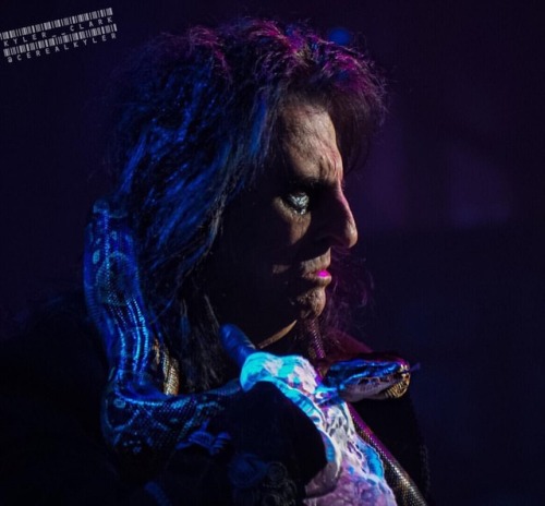 Another of #AliceCooper and #BarackOBoa tonight at one of my favorite venues&hellip; The #BradyTheat