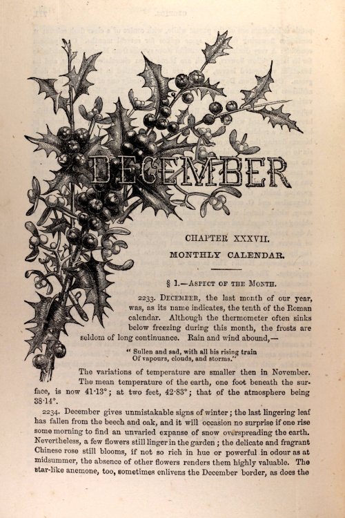 December from a 19th century Edition of Mrs Beeton&rsquo;s Guide to Gardening