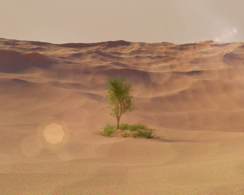 la fin du désert se cache peut-être derrière chaque dune ☺︎instagram