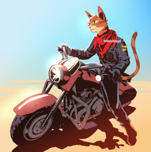 foervraengd: WARRIOR CATS BIKER AU