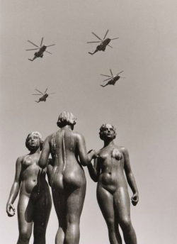 mpdrolet:  Jardin des Tuileries, Paris, 1972