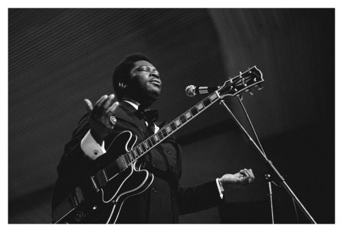 mgjunior:  B. B. King, Hamburg, 1971, by Heinrich Klaffs B.B. King, Connecticut Blues Festival, 1989, by Albert Watson