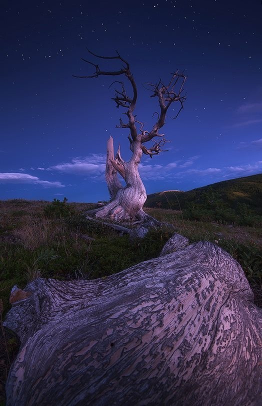 morethanphotography:  Unlikely Ballerina by nageshm 