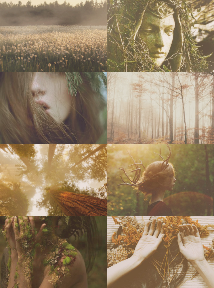 conjure woodland beings conjure woodland beings