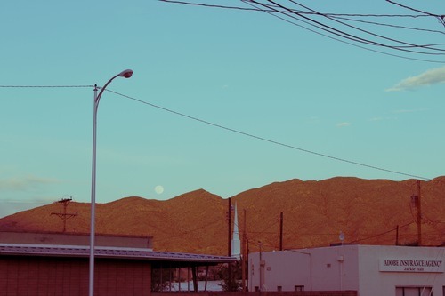 c00ler-ranch - ✨✨✨