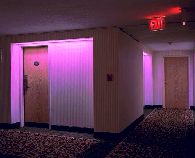 Scavengedluxury