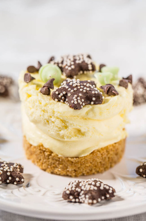 nom-food:  Easy no bake mini cheesecakes