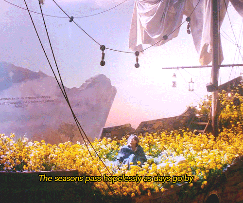 At Sunset Next Year, A Blooming Spring, A Midsummer Nights Dream