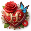hasanbey34
