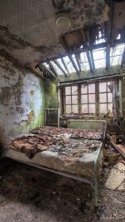 Maison Alexa was a very famous spot, and rightfully so. Despite or because of the heavy dereliction.
