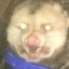 anonymous-opossum