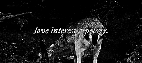  Love Interest Typology, One.