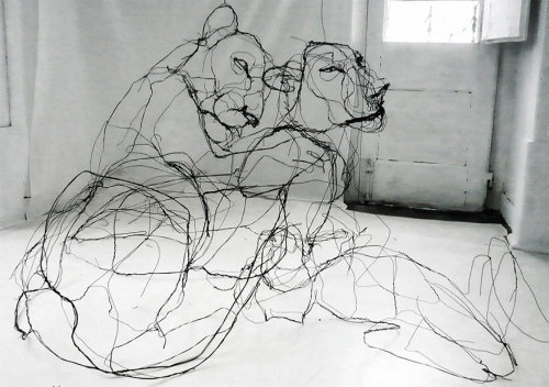 coolthingoftheday:  Artist David Oliviera creates intricate wire animal sculptures that resemble pencil sketches. 