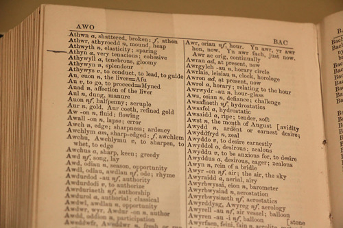 It’s #NationalDictionaryDay!  The name “Bryn Athyn” was first suggested by Bishop William F. Pendlet