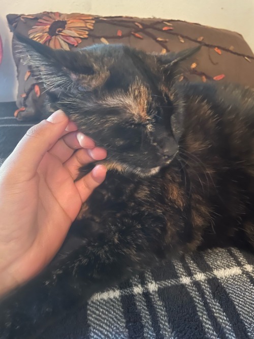She Drools Because She Has No Front Teeth To Keep Her Blepper In Her Stinky Mouth. Stinky Little Buttocks
