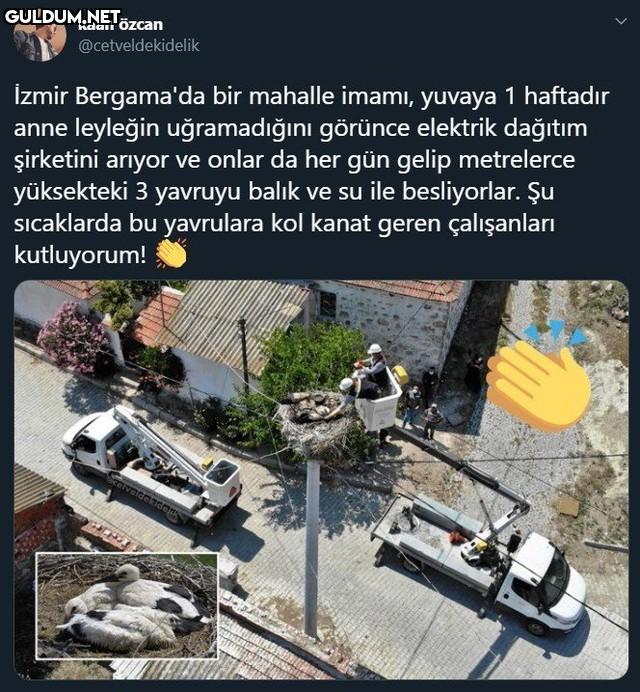 kaan özcan...