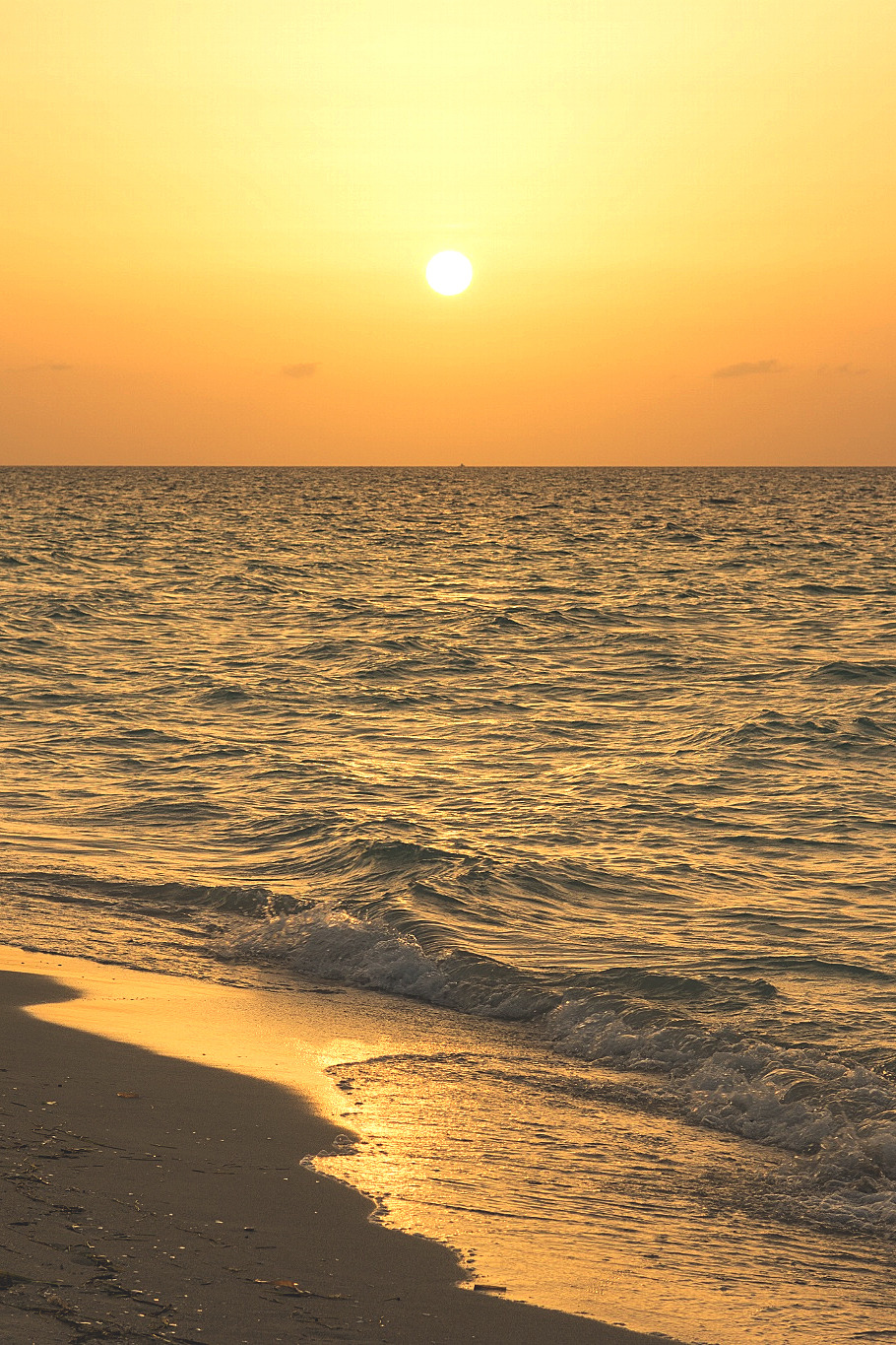 wavemotions:  Cuban Sun