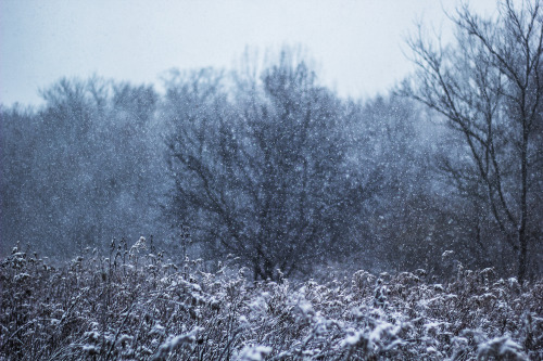 garettphotography:Winter Reminiscence | GarettPhotography