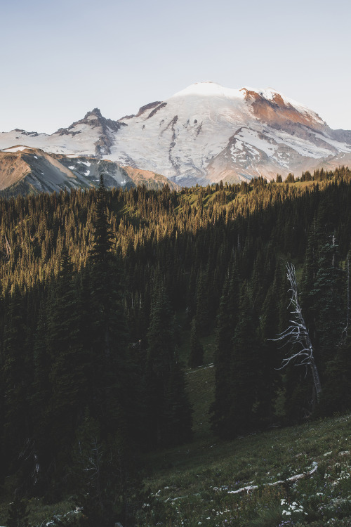 brianstowell:Mount Rainier, Washington