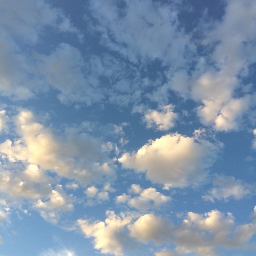 sunflowrrbabe:Look at the clouds .. look at them !!!