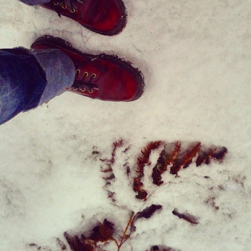 These boots….#wandering#lochness #snow #docs