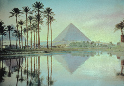vintagegal:Egypt- Pyramids and palm grove reflections by G. Eric &amp; Edith Matson. Date Created/Published- between 1950 and 1977 (via)