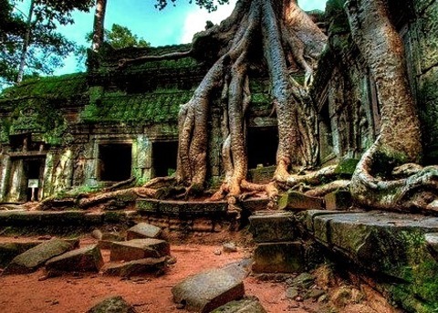 By Jeffiebrown On Flickr.Ta Prohm Temple, Siem Reap Province, Cambodia.