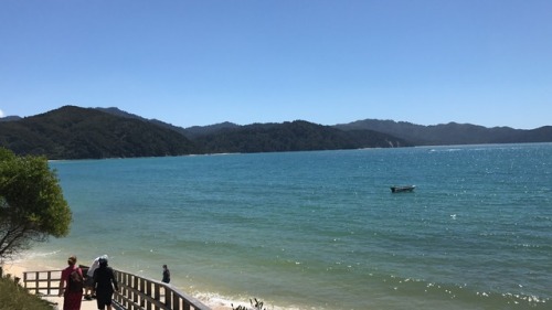 chesterlampkin: Awaroa Beach, in Abel Tasman. It’s remote and outstanding. A #NewZealand Must do. #N