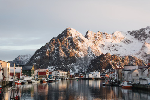 natalieallenco:Lofoten Islands, Norway.