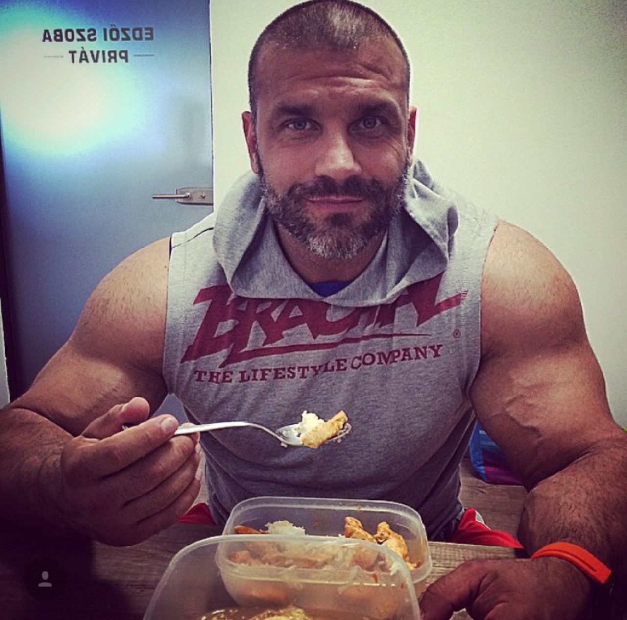 monglor716:  Bearded Zoltan makes me weak at the knees