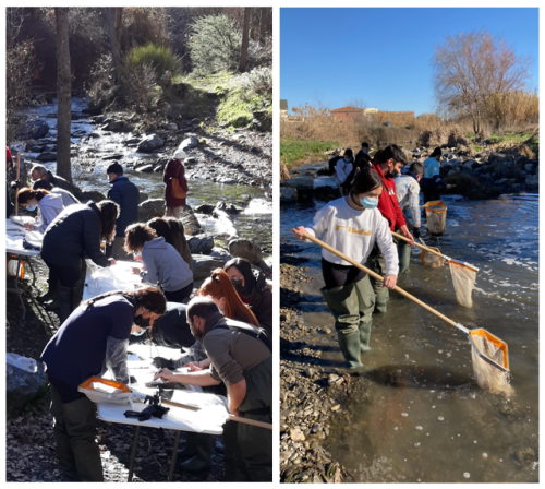 Rios de Vida: High School Students Assess Mountain Rivers as Citizen Scientists  Dear 