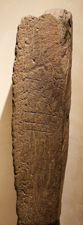 Carved Deer Rock Art, 10th century CE, National Museum of Scotland, Edinburgh, 11.11.17.