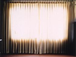 1030-42929:  Now you see it, now you don’t, 1999Annika von